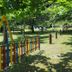 Hotel La Costera in A Lanzada: colorful playground with swings and a slide in a leafy garden