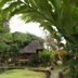Belle Villa Resort, Pai garden pathway to thatched villa amid lush tropical greenery