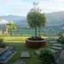 Outdoors view