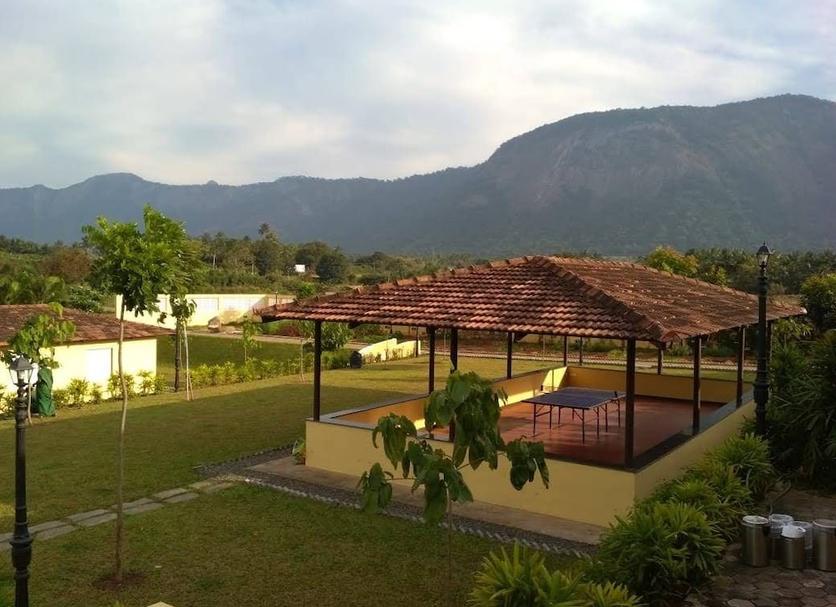 Other Photo