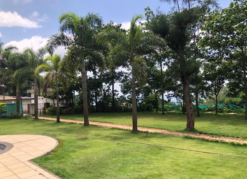 Outdoors view Photo