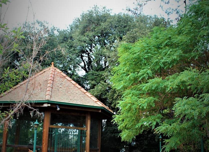 Outdoors view Photo
