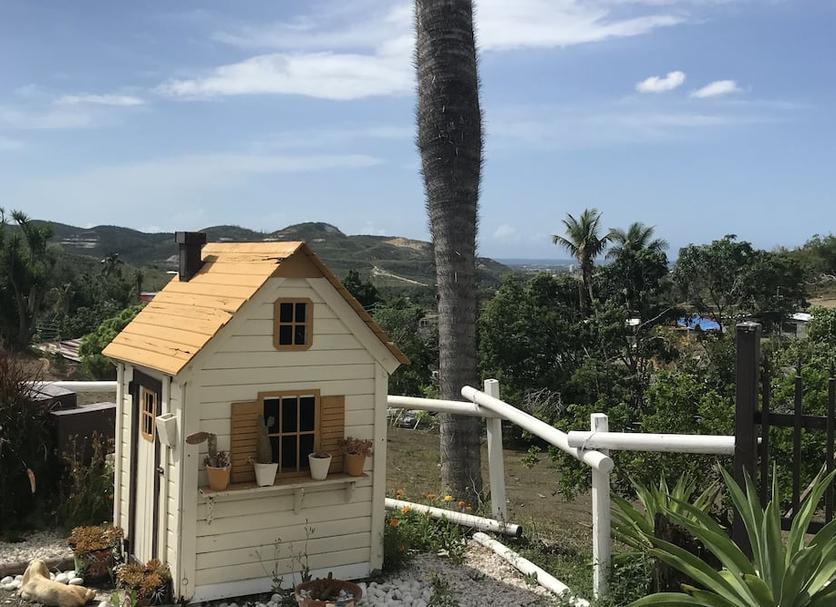 Outdoors view Photo