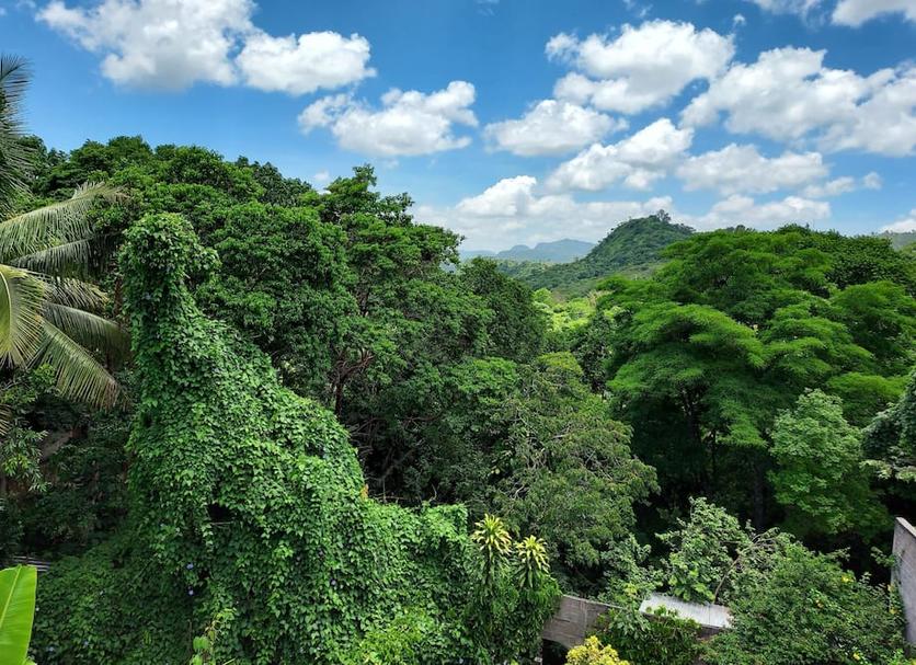Outdoors view Photo