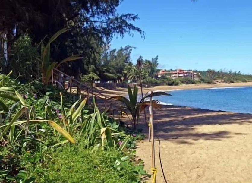 Other Photo