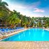 Mizner Place at Weston Town Center in Weston, outdoor pool with blue lounge chairs and palm trees