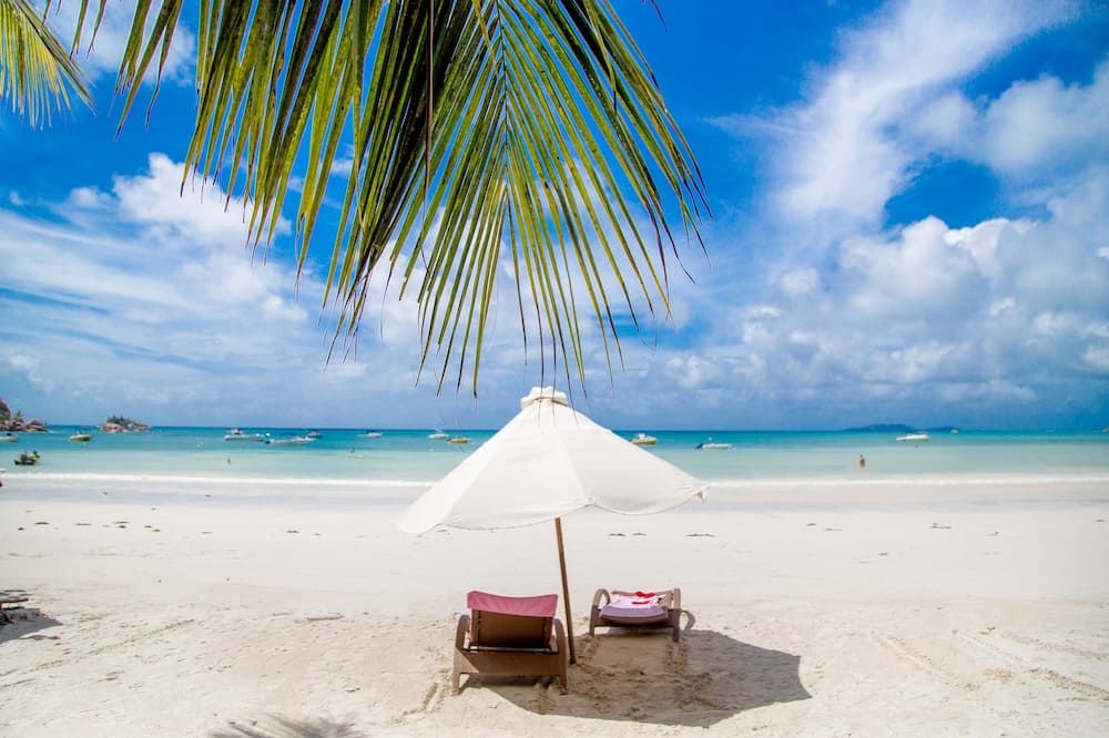 Beach Photo