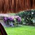Outdoors view