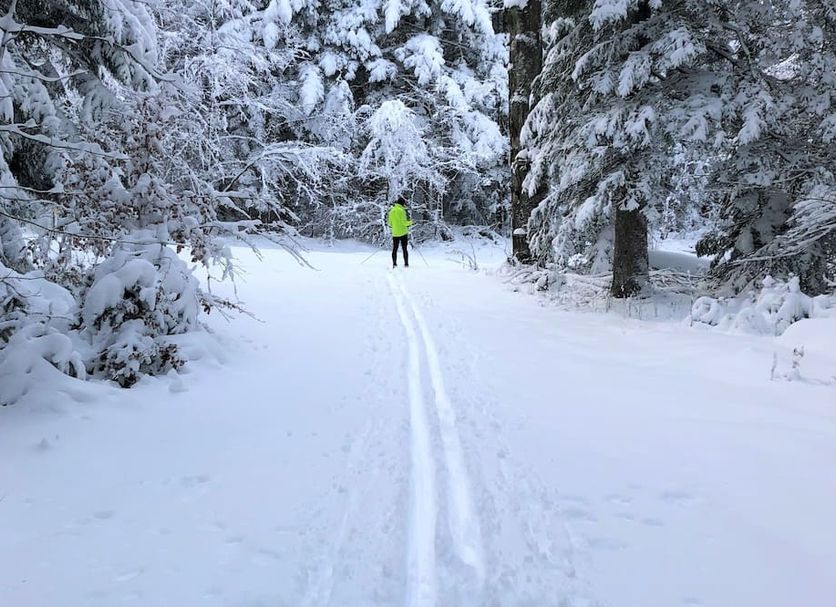 Haus am Kurpark in Schömberg, Calw, with snowy forest trail and skier in a bright jacket