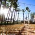 Outdoor event seating at Delta Hotels by Marriott Anaheim Garden Grove with palm trees and string lights