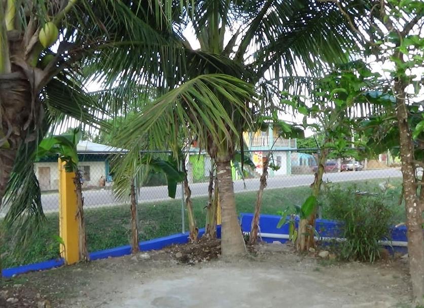 Other Photo