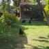 Outdoors view