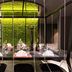 Dining table at Novotel Resort & Spa Biarritz Anglet in Anglet with green living wall backdrop