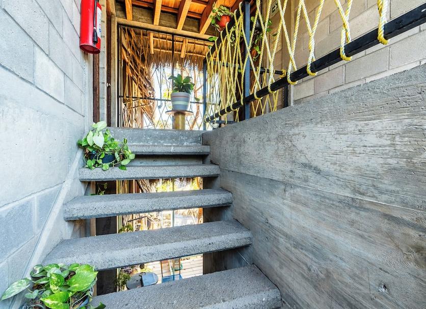 Stairs Photo