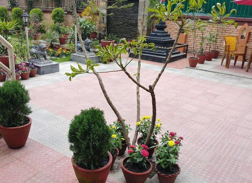 Patio Photo