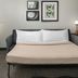 Residence Inn by Marriott Birmingham Hoover guest room with sofa bed, desk, and framed wall art