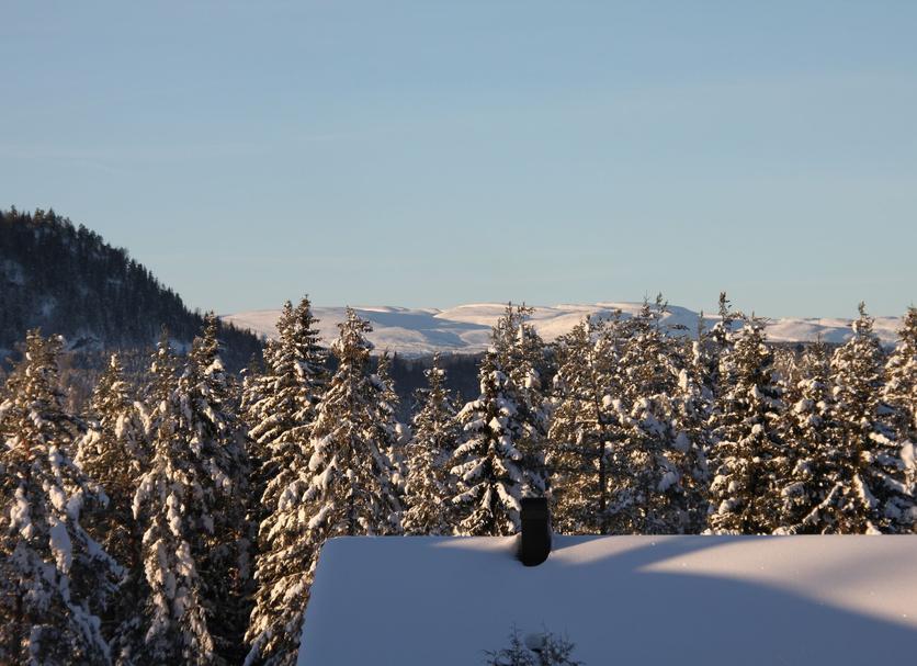 Outdoors view Photo