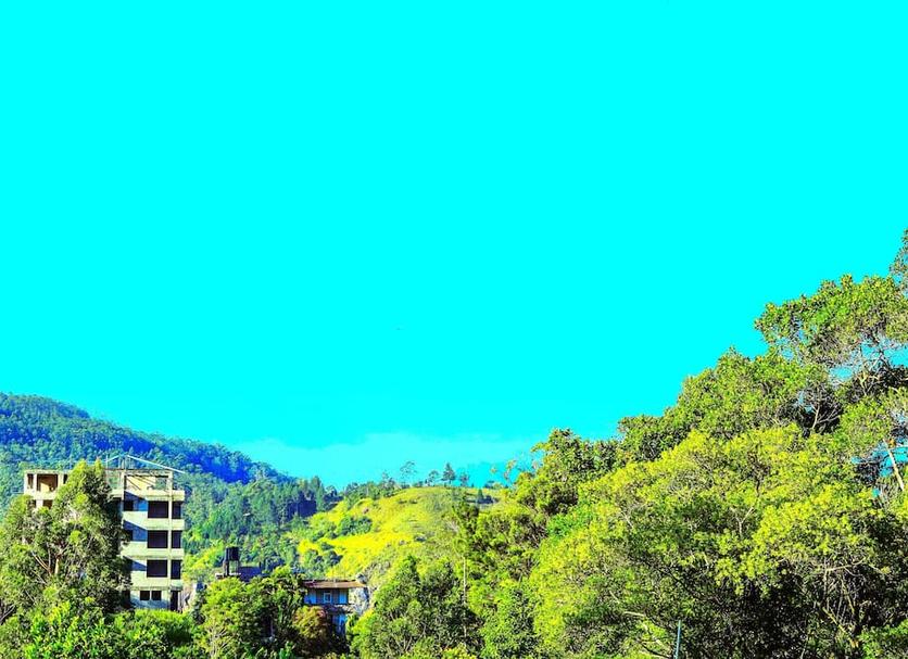 Outdoors view Photo