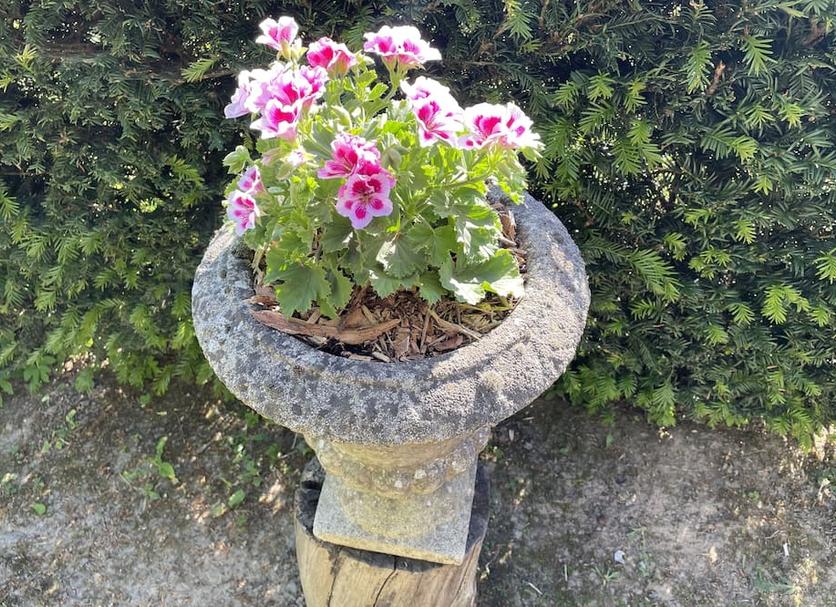 Outdoors view Photo