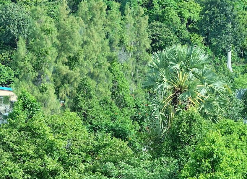 Outdoors view Photo