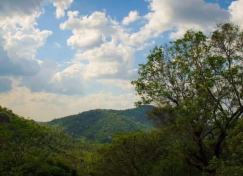 Outdoors view Photo