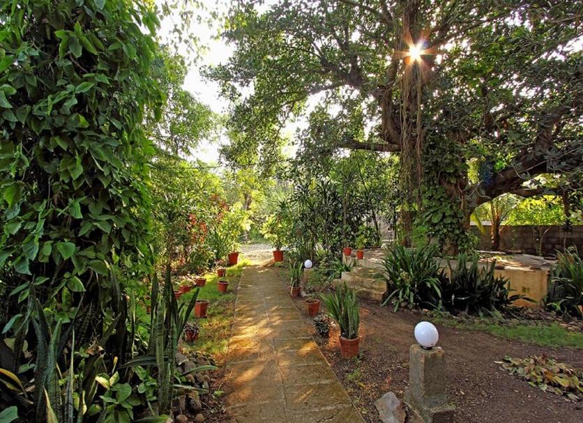 Outdoors view Photo