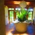 Sans Souci Inn, Pohara: bright lounge with central planter, wooden ceiling, and garden views