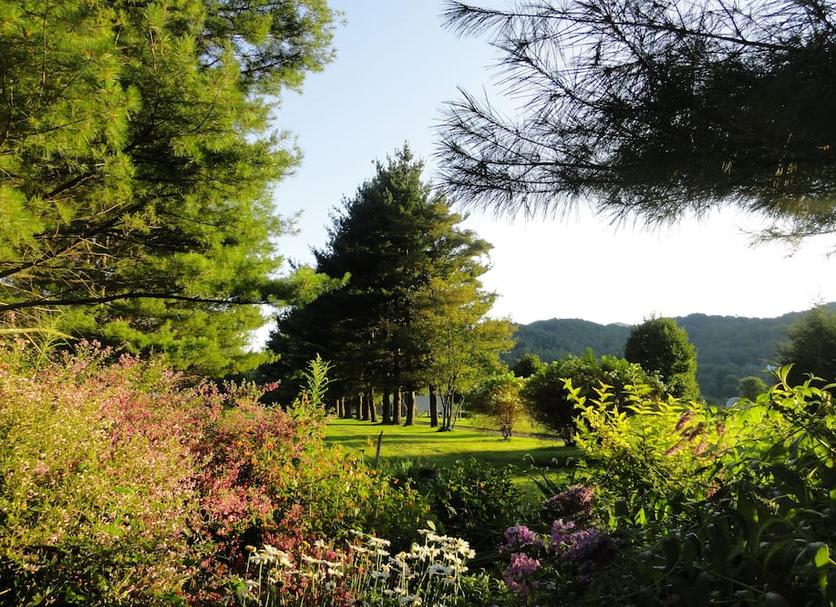 Outdoors view Photo