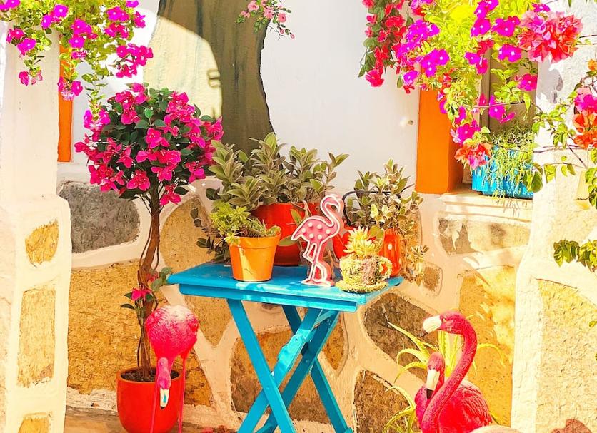 Patio Photo