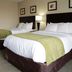 Comfort Inn Southwest Fwy at Westpark in Houston: guest room with two double beds and wall art