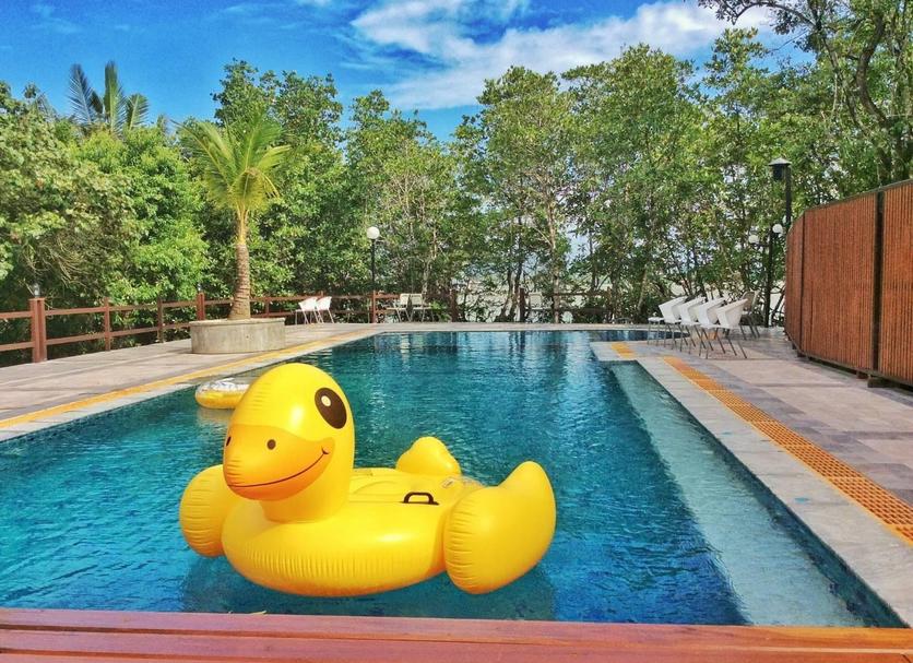Pool Photo