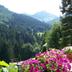 Outdoors view