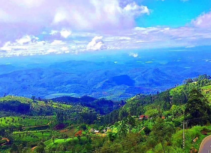 Outdoors view Photo