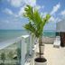 Intercity João Pessoa rooftop terrace with potted palm and ocean view in João Pessoa