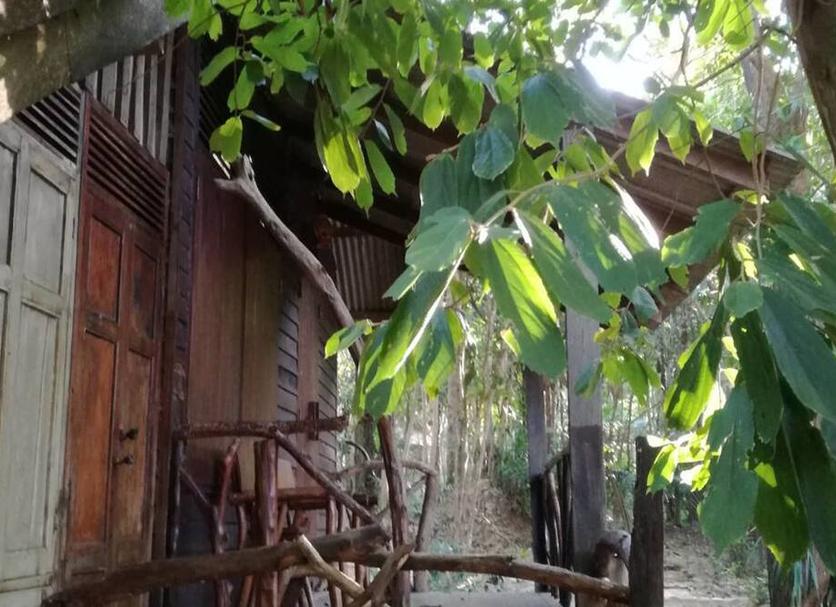 Outdoors view Photo