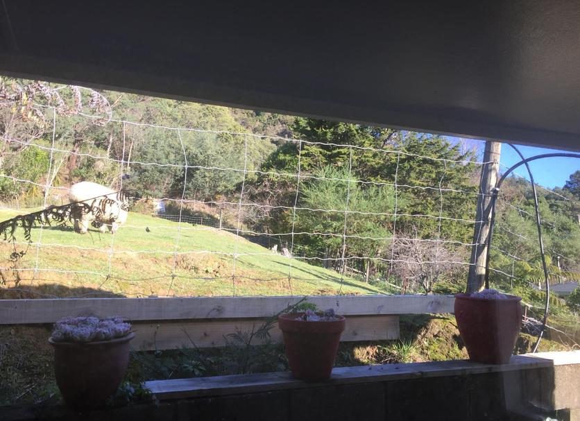 Outdoors view Photo