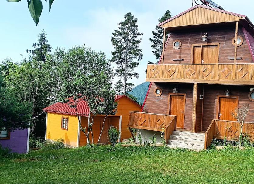 Other Photo