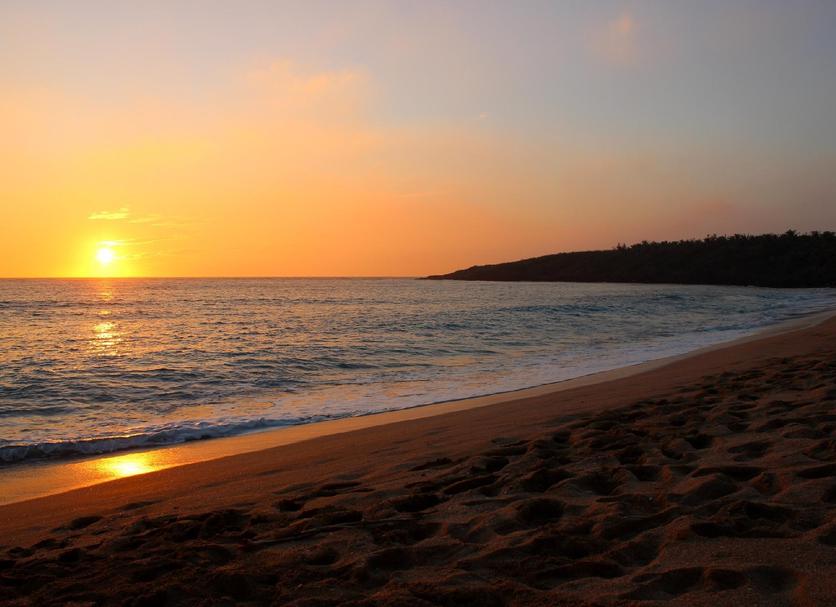 Beach Photo