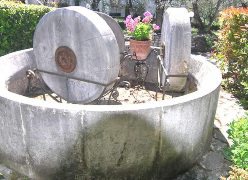 Other Photo