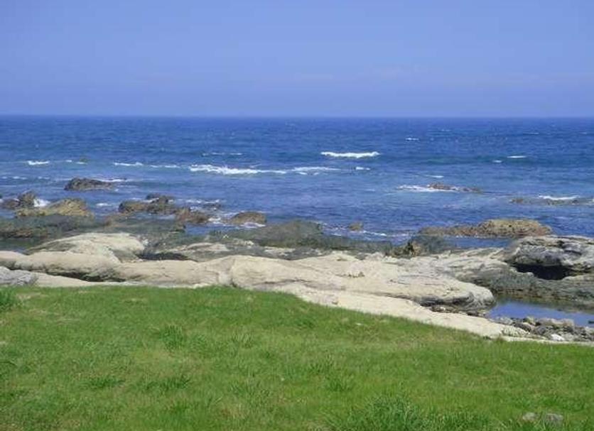 Other Photo