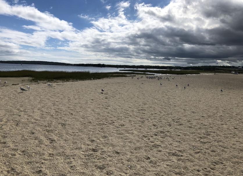 Beach Photo