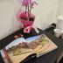 B&B Ponticello Palermo room with a bedside tray, open guidebook, orchid, kettle and cups