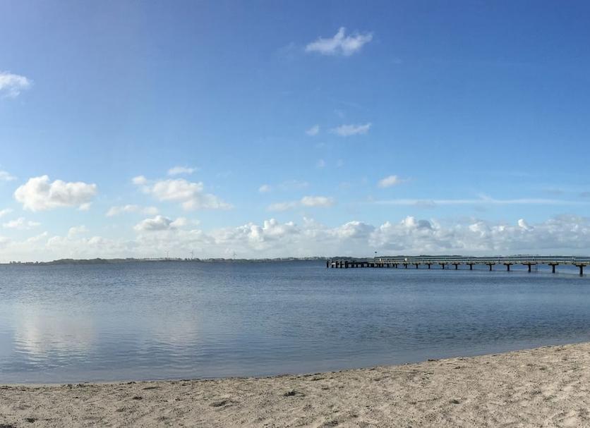 Other Photo