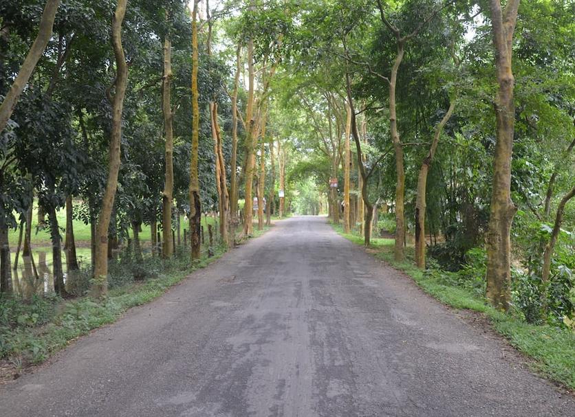 Outdoors view Photo