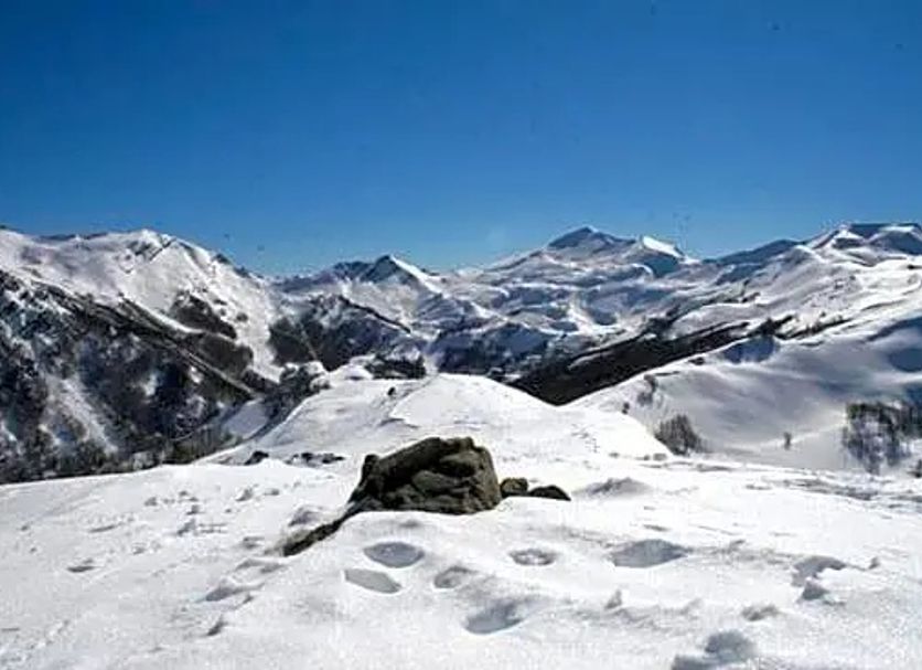 Other Photo