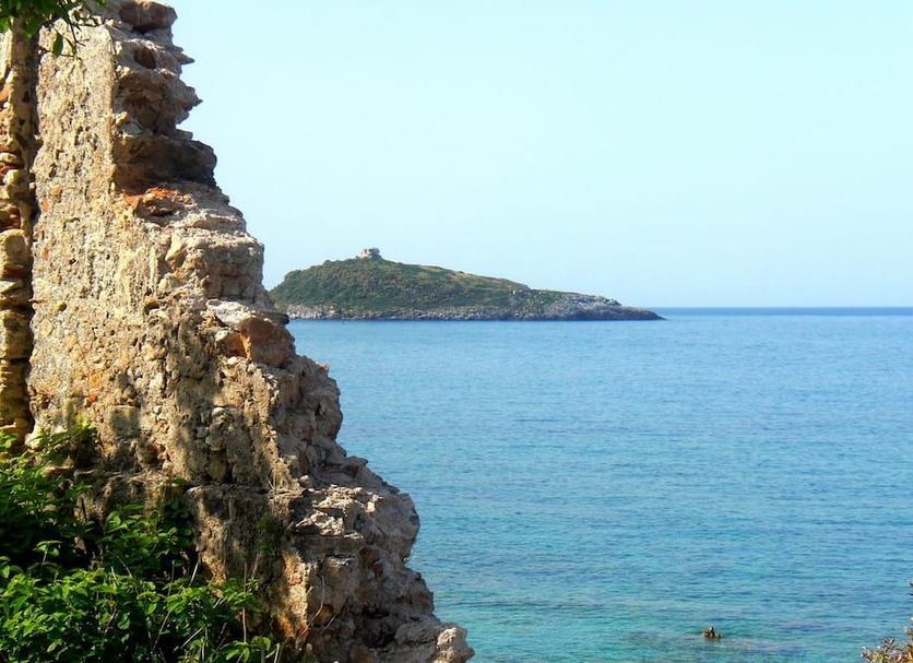 Other Photo