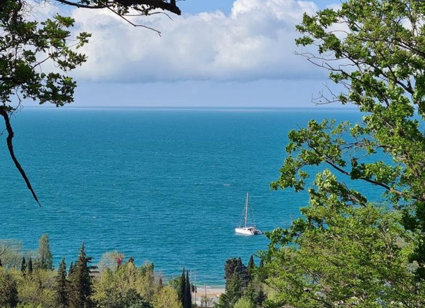 Outdoors view Photo