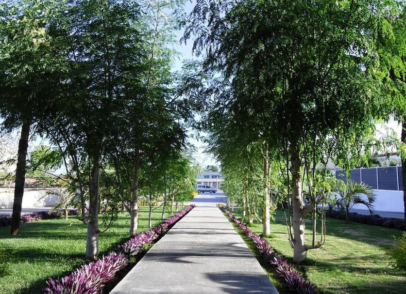 Outdoors view Photo