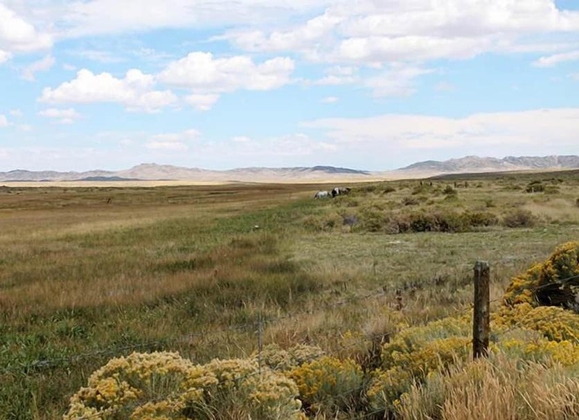 Outdoors view Photo