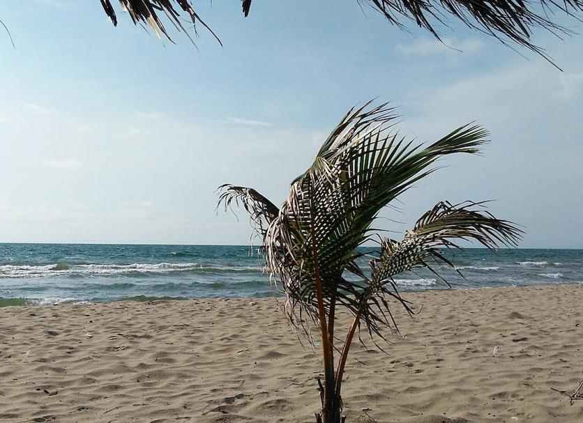 Beach Photo